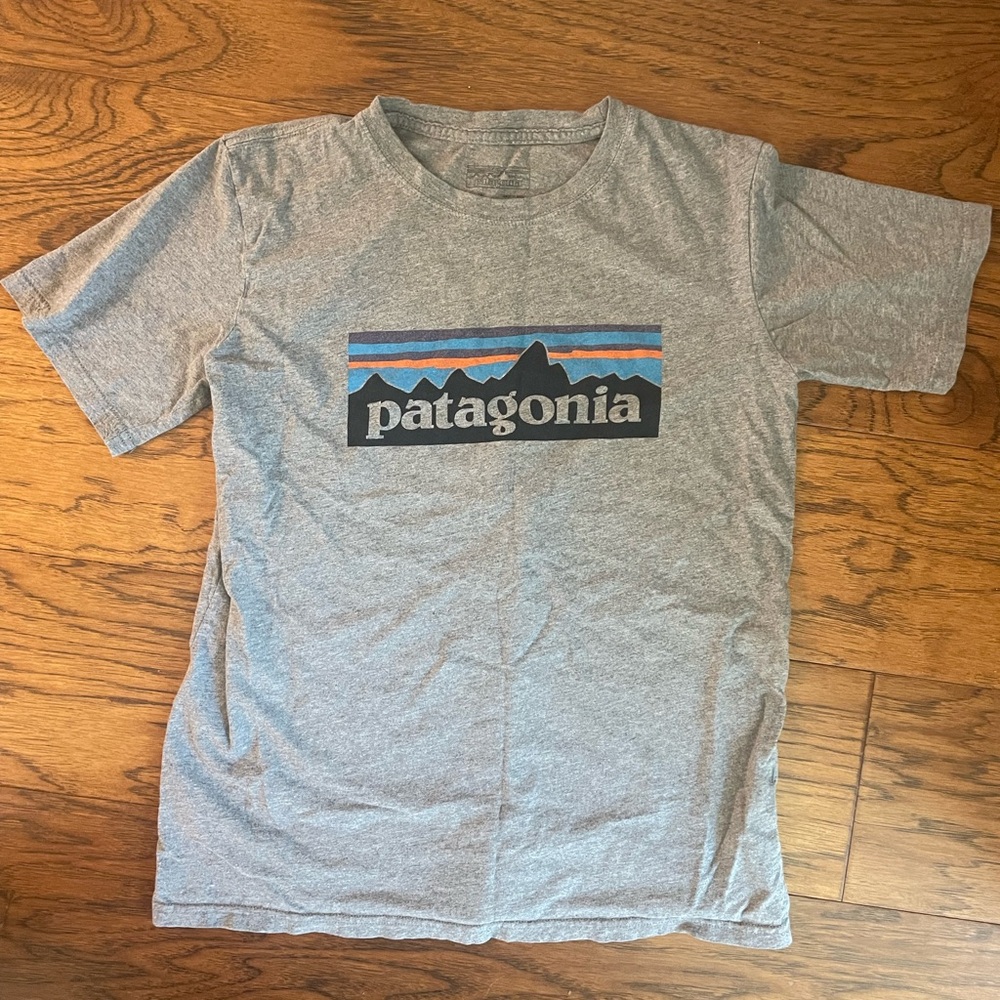 Patagonia Gray Logo Tee with Patagonia logo